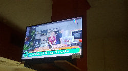 Foto Lote