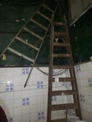 Foto Lote