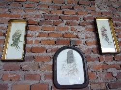 Foto Lote
