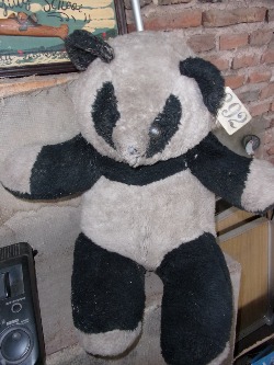 Foto Lote