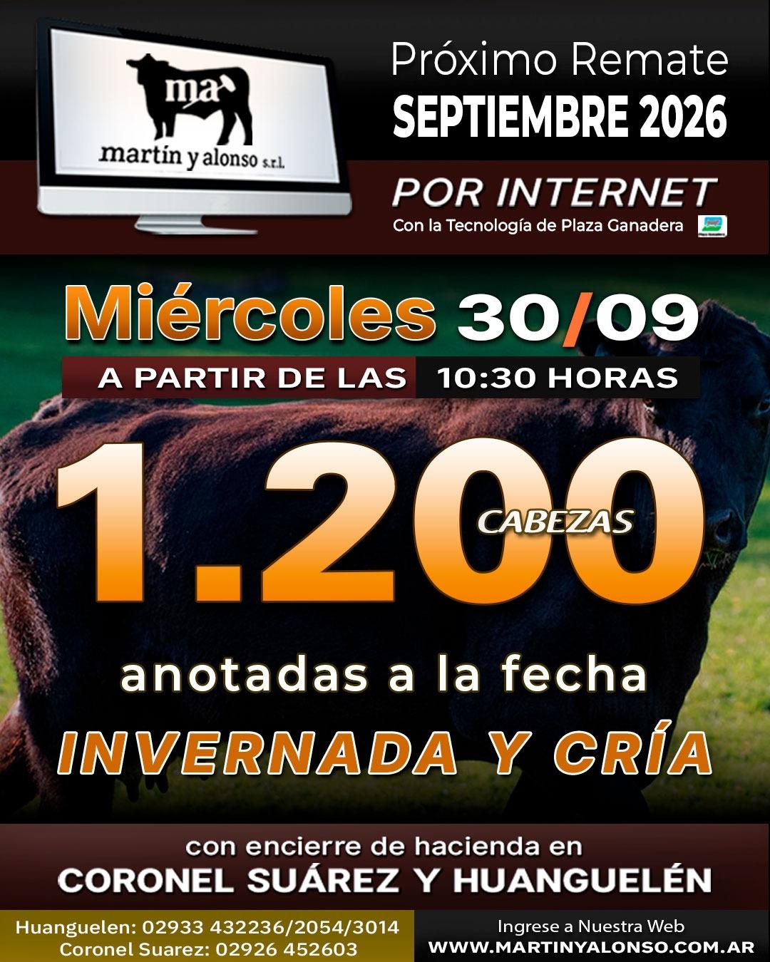 Afiche - Martin y Alonso - 87º Remate por Internet 