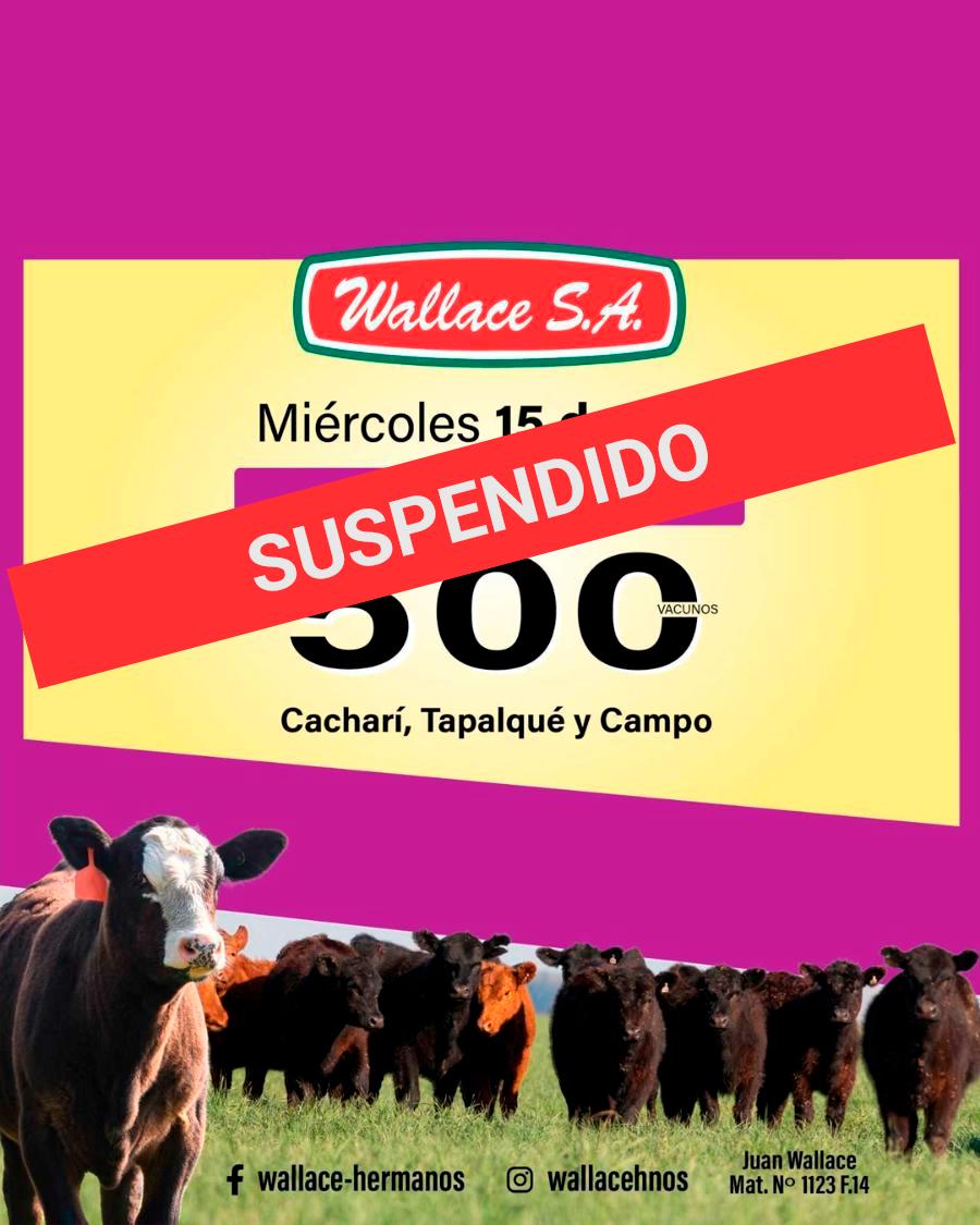 Afiche - Wallace S.A. - 70º Remate por Internet - SUSPENDIDO 