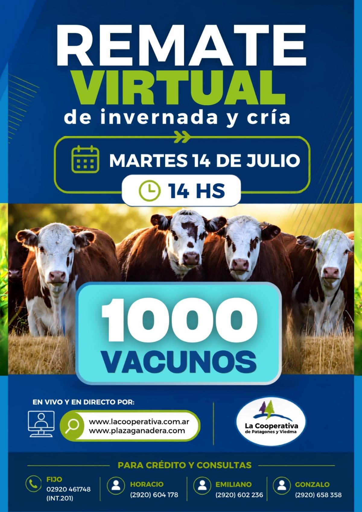 Afiche - La Cooperativa de Patagones y Viedma - 54º Remate por Internet 