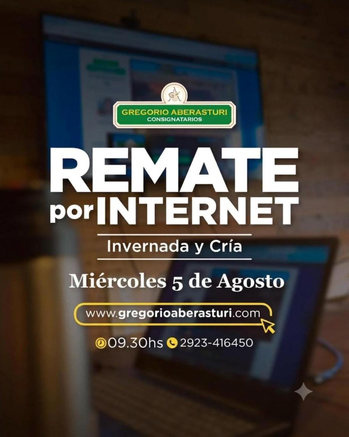 Afiche - Gregorio Aberasturi - 91° Remate por internet 