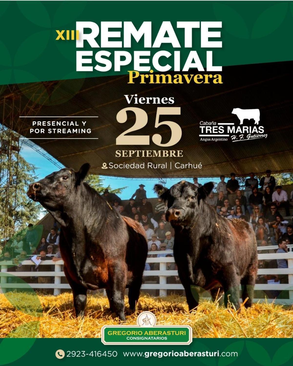 Afiche - Gregorio Aberasturi - Remate Cabaña Tres Marías 