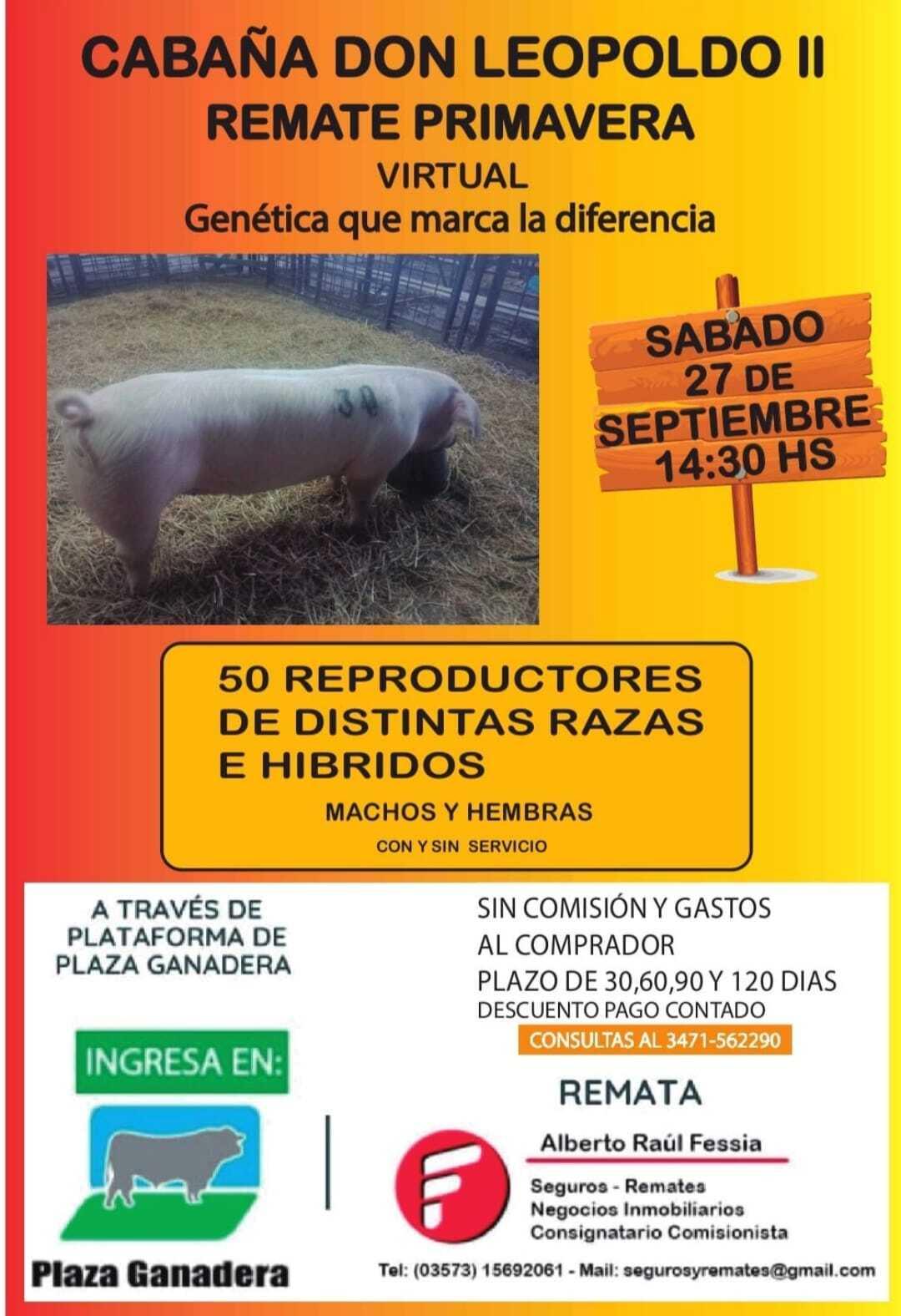 consignataria
