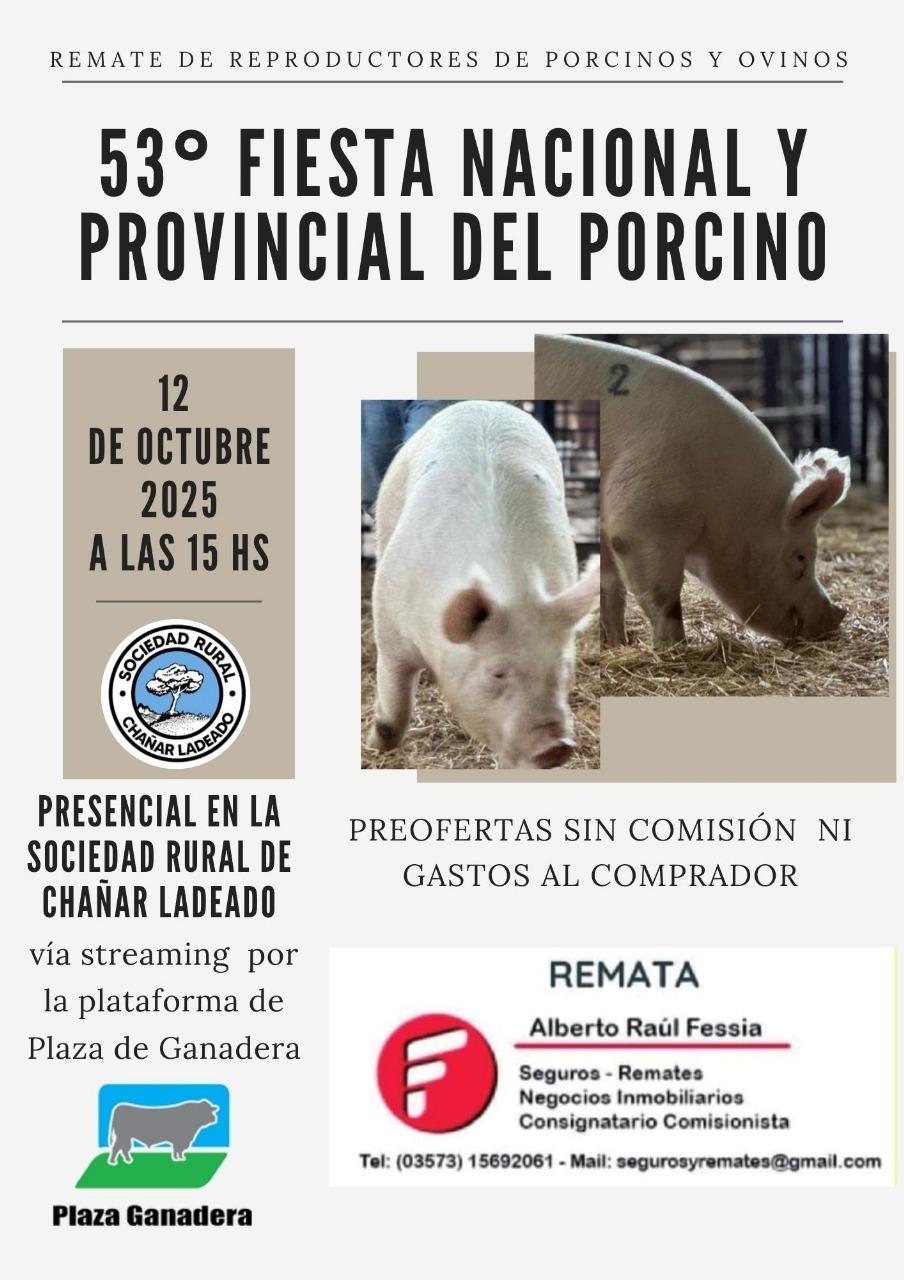 consignataria
