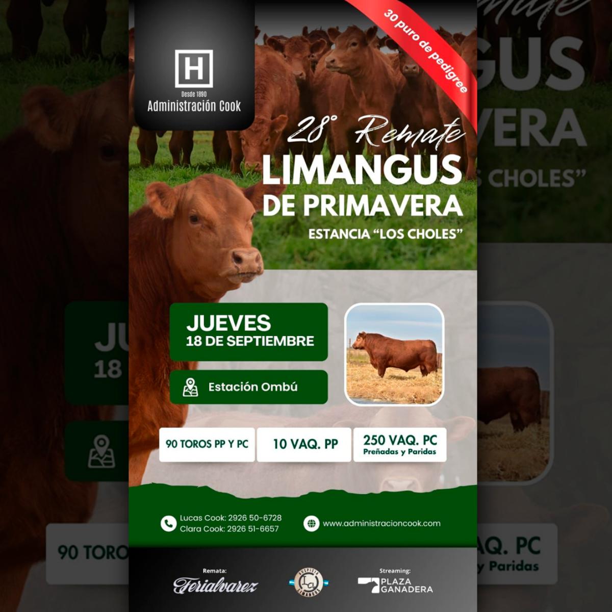 consignataria
