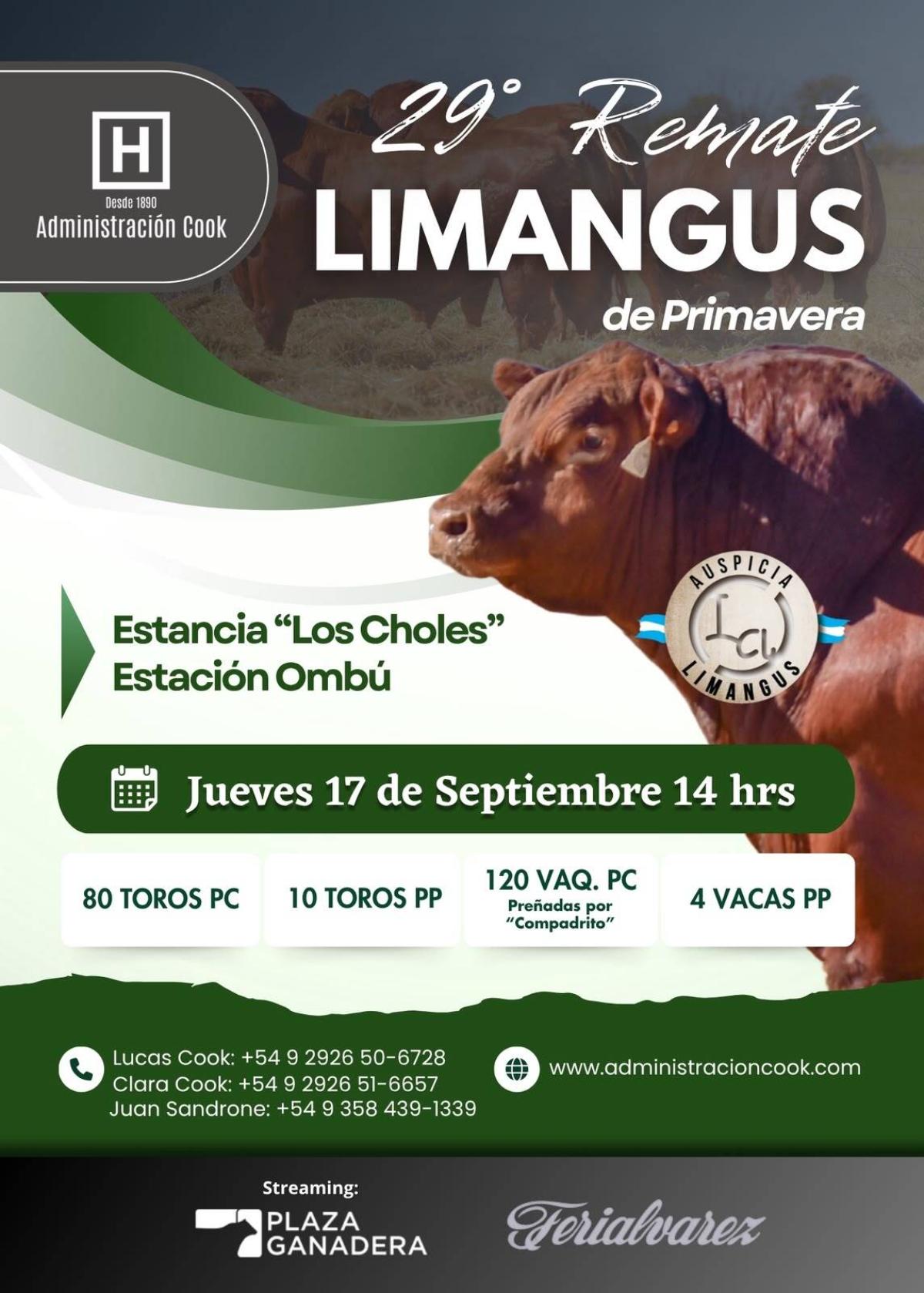 Afiche - Los Choles - 29º Remate Limangus de Primavera 
