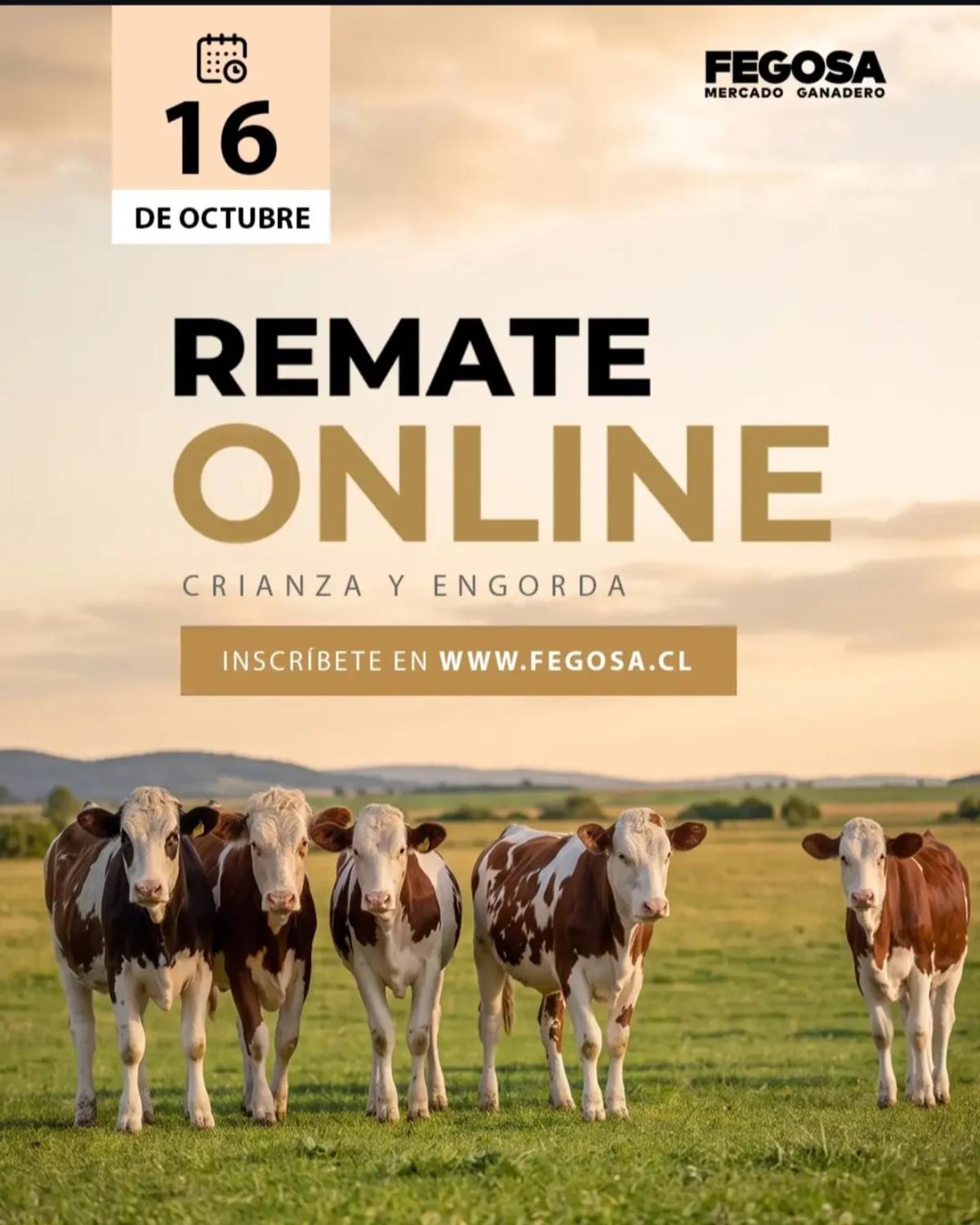 Afiche - FEGOSA - 30º Remate por Internet 