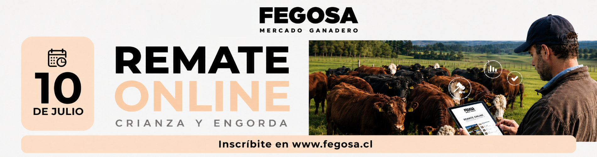 Fegosa — Remates de hacienda online Osorno Chile vía Plaza Ganadera