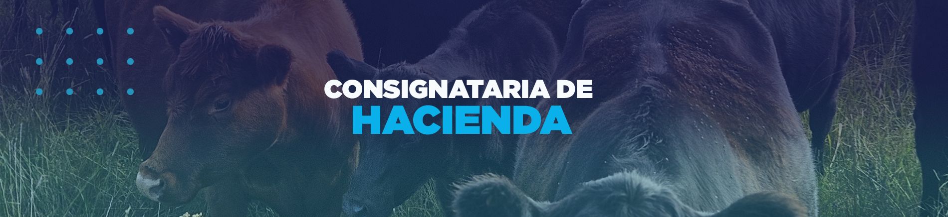 Consignataria de Hacienda