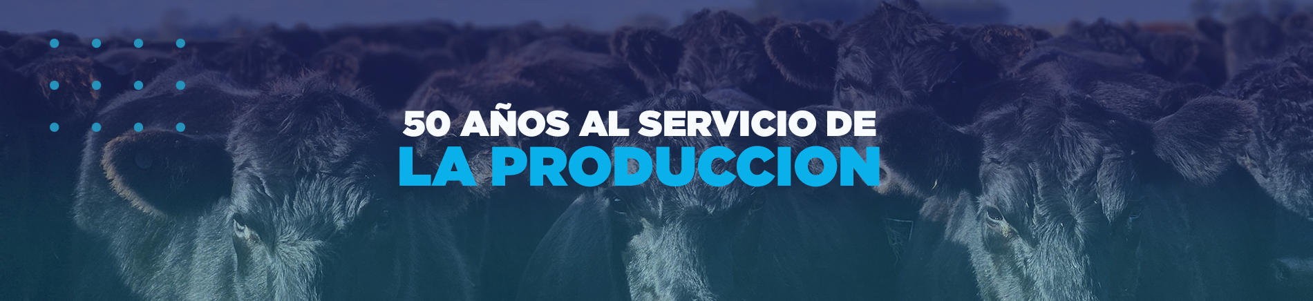 50 años al servicio de la producción