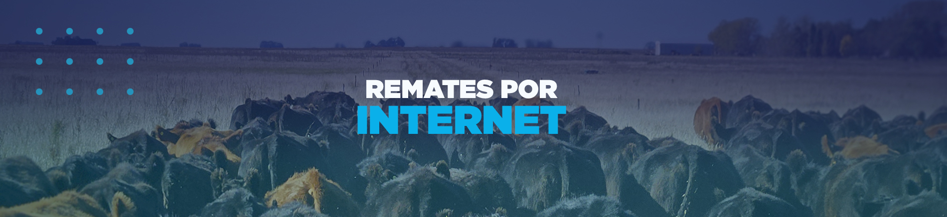 Remates por Internet